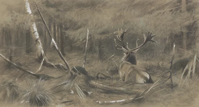 Cerf couronné se souillant, Richard Friese