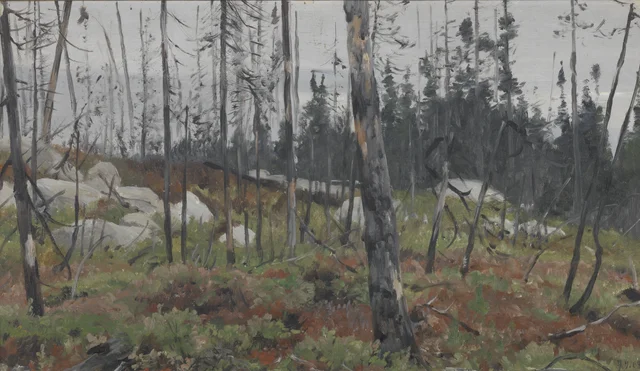 Mixed Forest in Canada