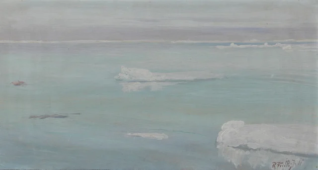 Glaces dérivantes et banquise dans l'océan Arctique, Richard Friese