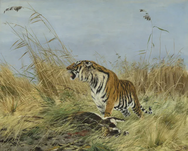 Royal Tiger with a Slain Waterbuck