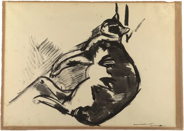 Gato deitado, Rik Wouters