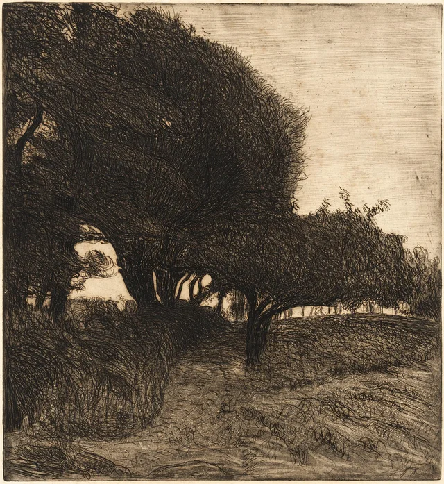 As árvores majestosas, Roderic O'Conor