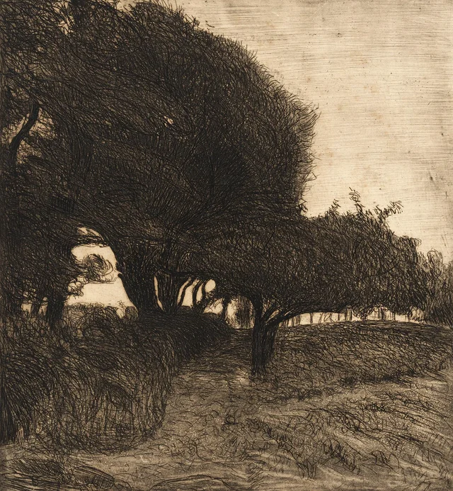 The Majestic Trees, Roderic O'Conor
