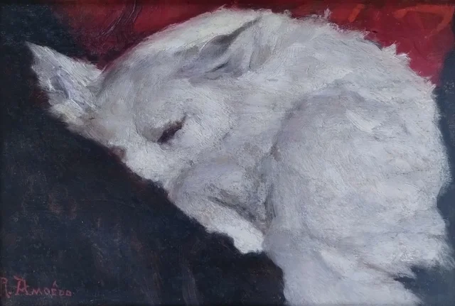 Cão adormecido, Rodolfo Amoedo