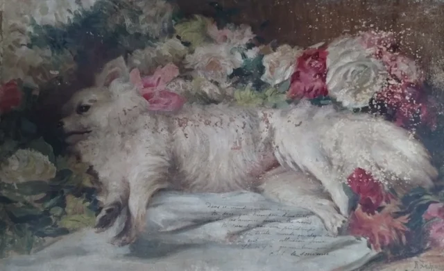 Cão morto, Rodolfo Amoedo