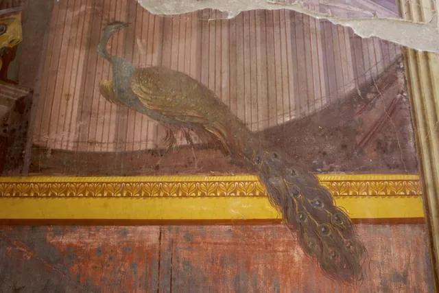 Peacock on a cornice