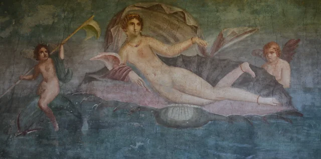 Venus de la concha