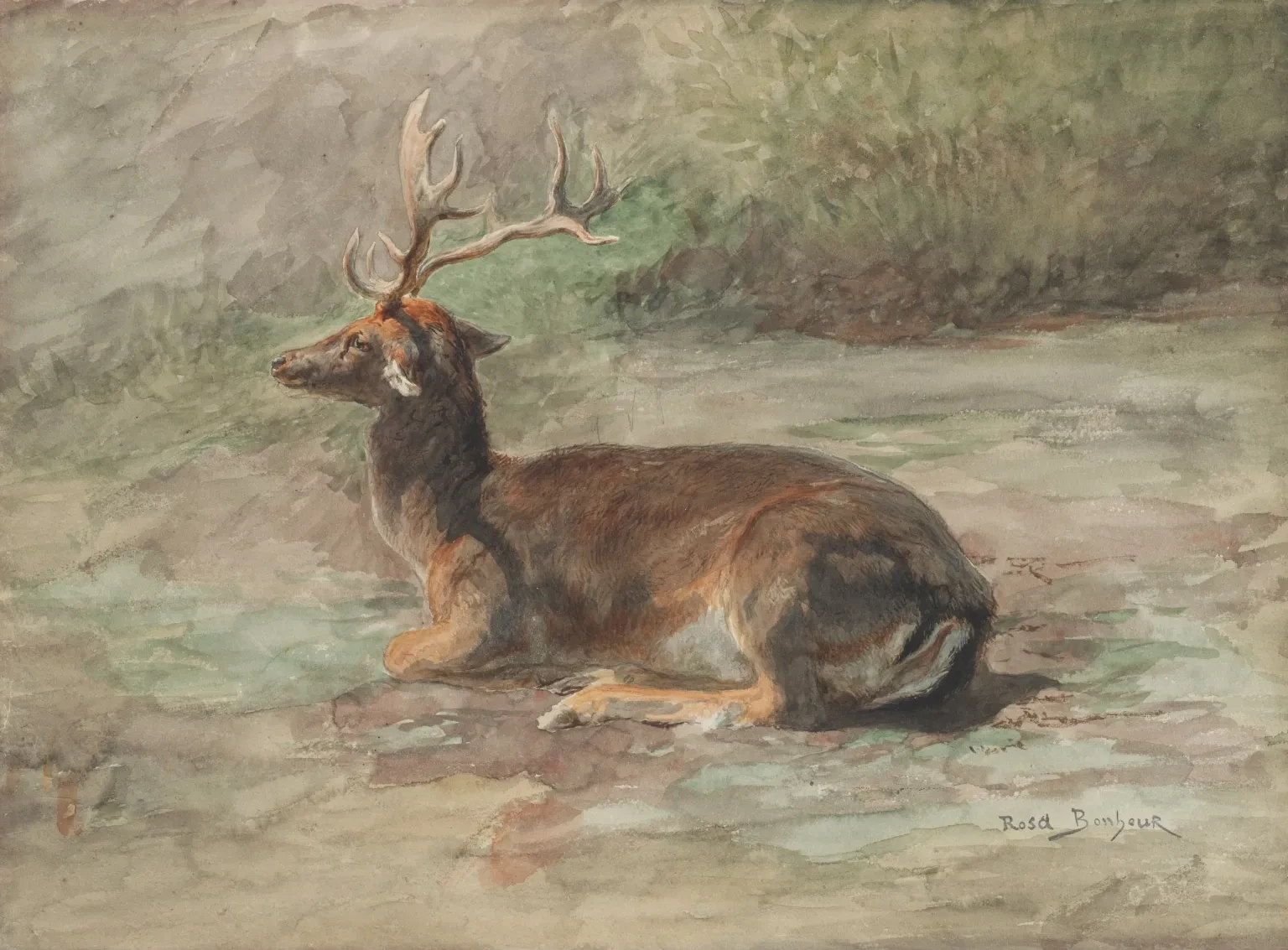 Cerf couché, Rosa Bonheur