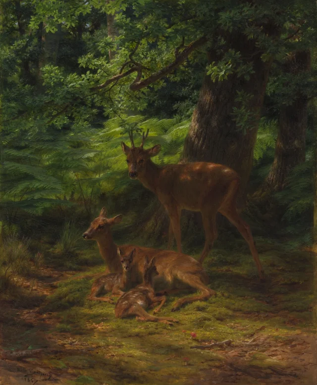 Cerfs au repos