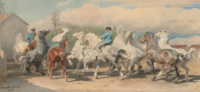 Retour du marché aux chevaux