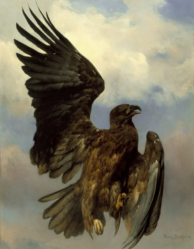 L'Aigle blessé