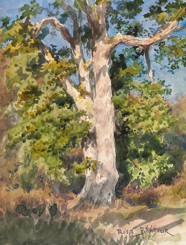 Tree Study, Rosa Bonheur