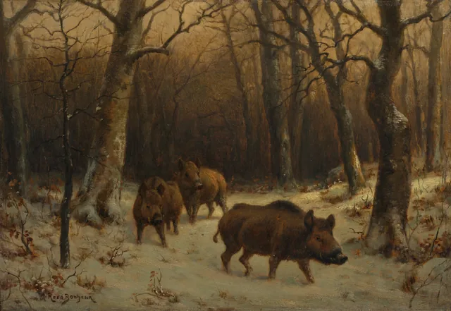 Sangliers dans la neige