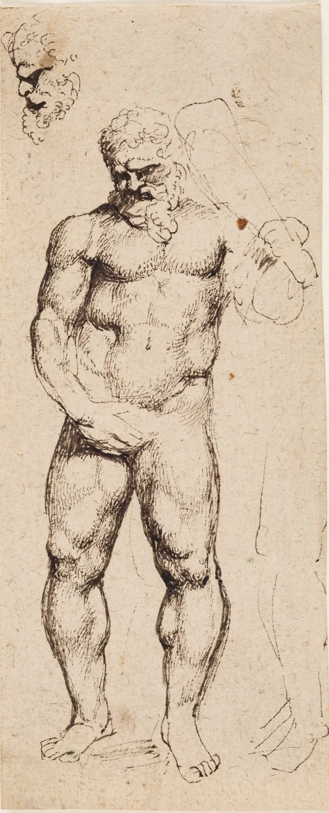 Herkules