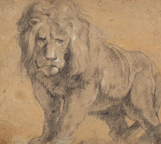 León