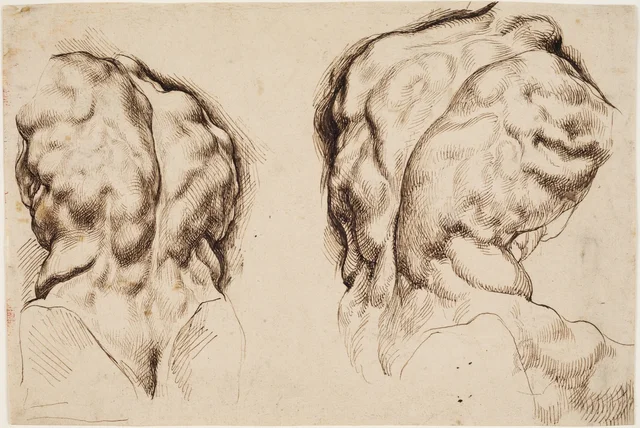 Torso Belvedere