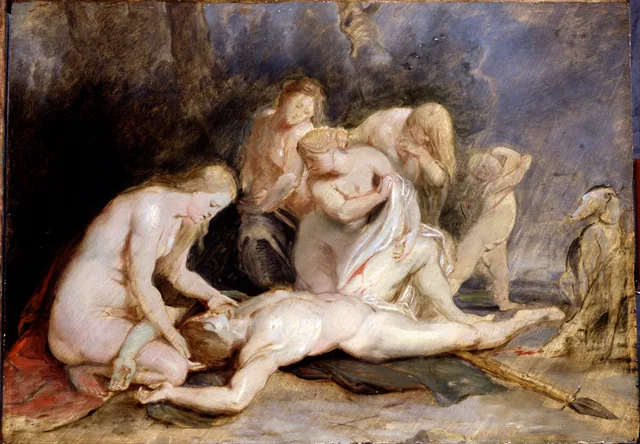 Vênus chorando Adônis, Peter Paul Rubens