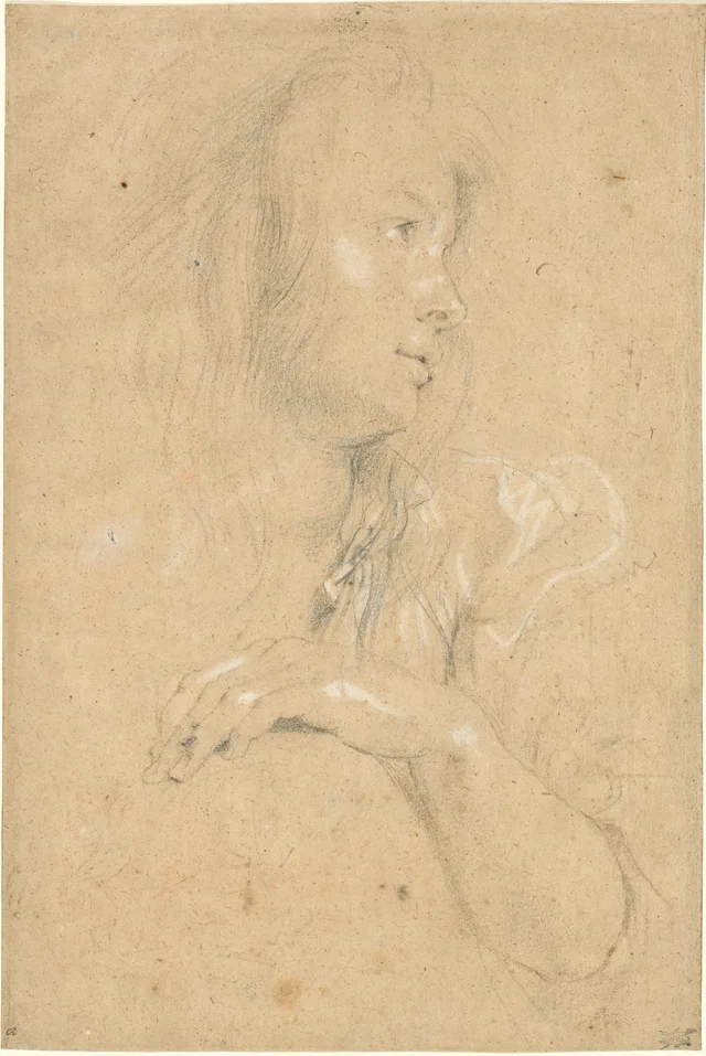 Young Woman in Profile