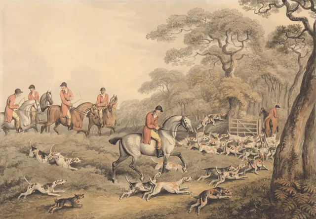 Chasse au renard : en route vers le fourré