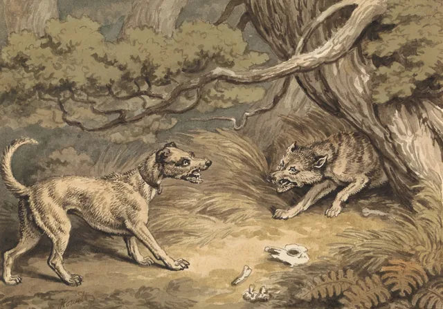 The Dog and the Wolf, Samuel Howitt