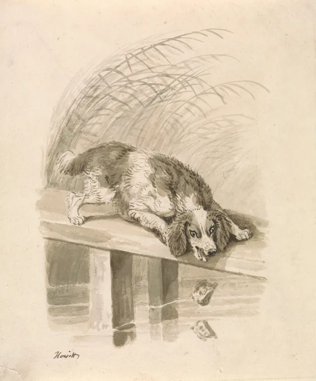 Le Chien et son ombre