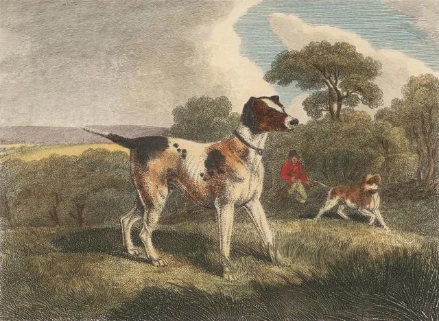 Le pointer