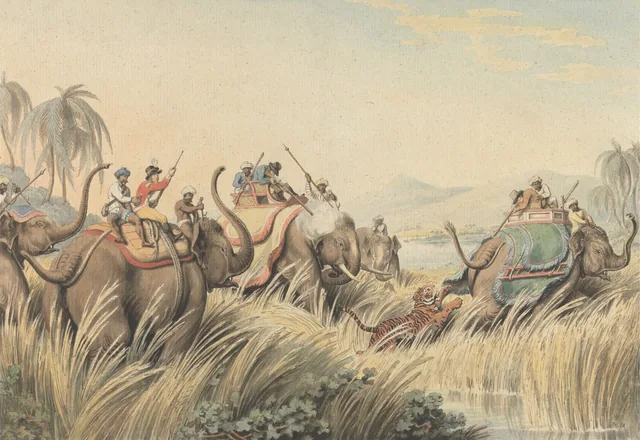 Le Tigre aux abois : illustration pour les « Oriental Field Sports » du capitaine Thomas Williamson
