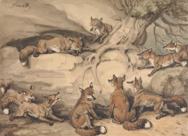 Nueve zorros reunidos alrededor de un árbol: ilustración de la fábula de Esopo «El zorro que perdió la cola», Samuel Howitt