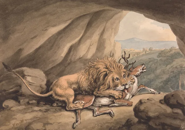Un lion attaquant un cerf