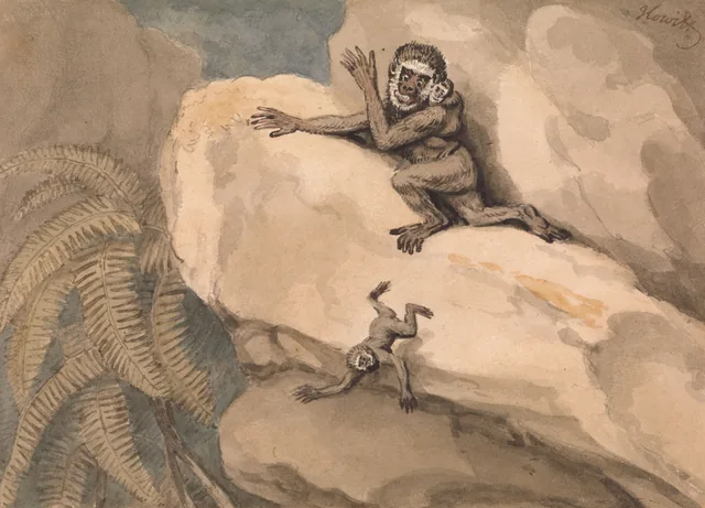 Un singe et son petit