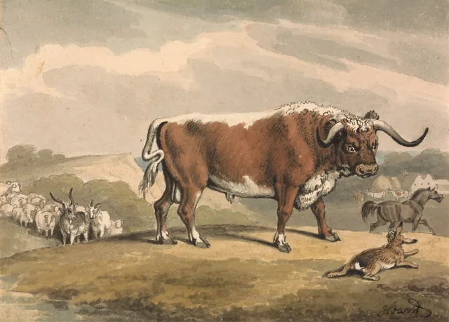 A Bull and a Rabbit, Samuel Howitt