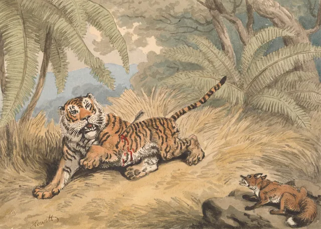 A Tiger Pierced with an Arrow, Samuel Howitt