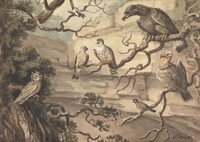 Un búho, un águila, dos halcones, un buitre y otras aves posadas en árboles, Samuel Howitt