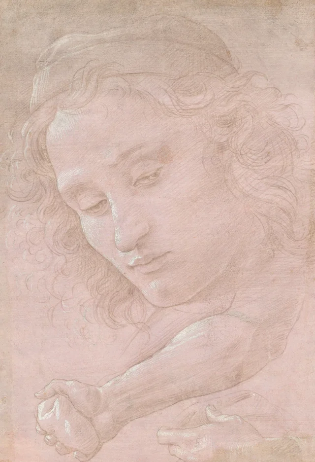 Cabeza de joven con gorro; antebrazo derecho agarrando una piedra; mano izquierda sosteniendo un paño, Sandro Botticelli