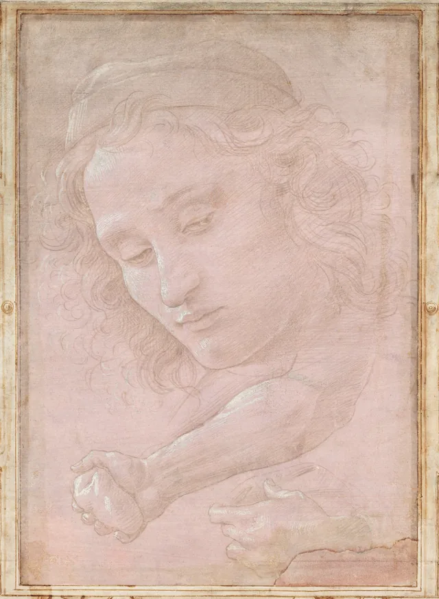 Tête de jeune homme coiffé d'un bonnet ; avant-bras droit serrant une pierre ; main gauche tenant une draperie, Sandro Botticelli