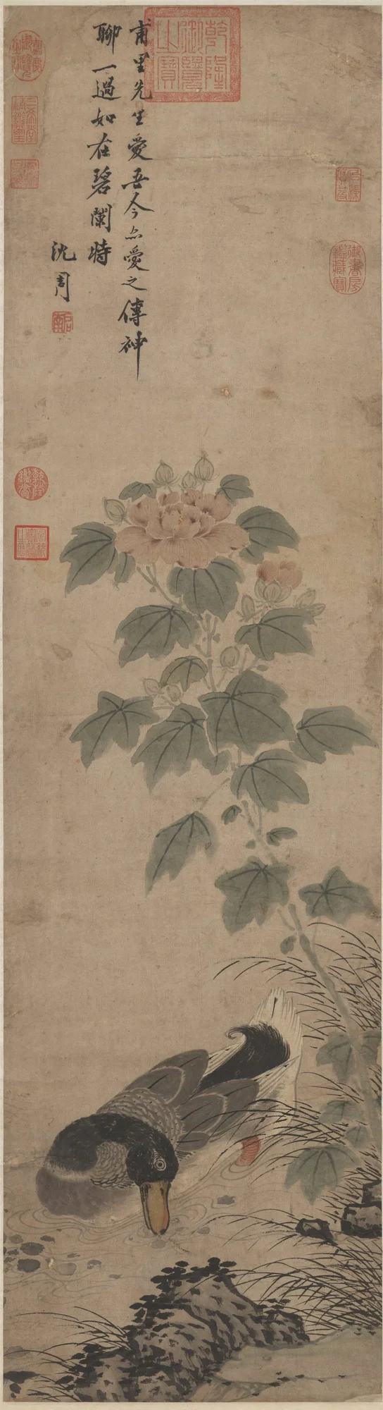 秋塘野鶩