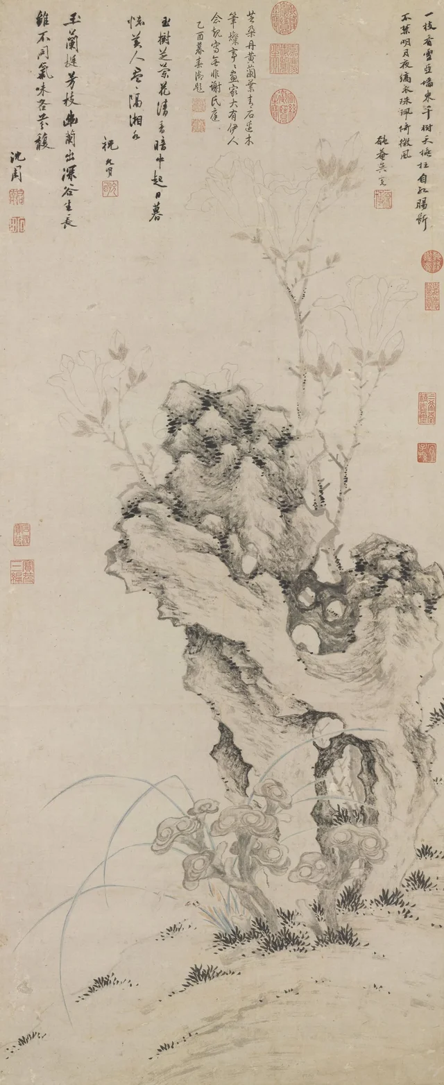Hongos de la inmortalidad, orquídeas y magnolios, Shen Zhou