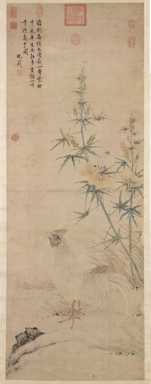 画鶏
