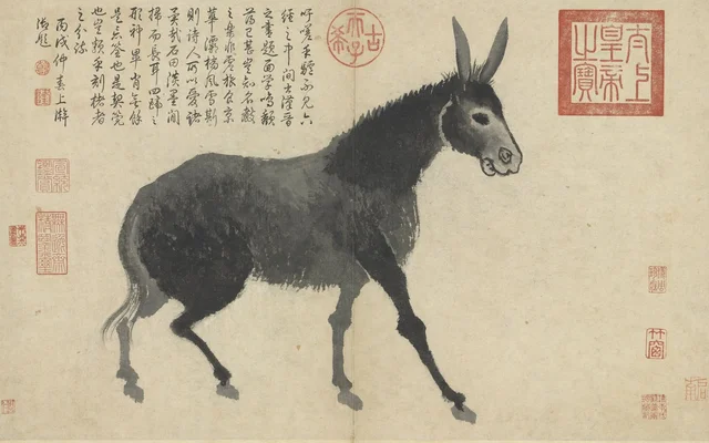 Apuntes del natural: Asno, Shen Zhou