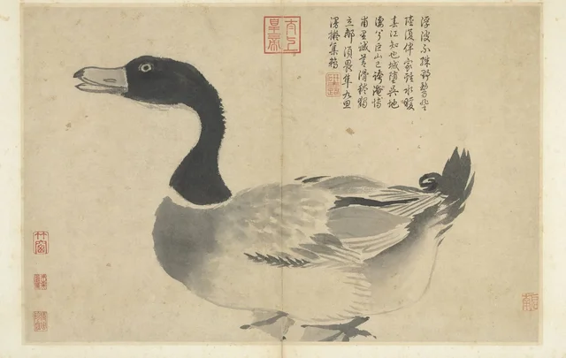 写生冊 鴨, 沈周