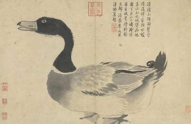 Apuntes del natural: Pato, Shen Zhou