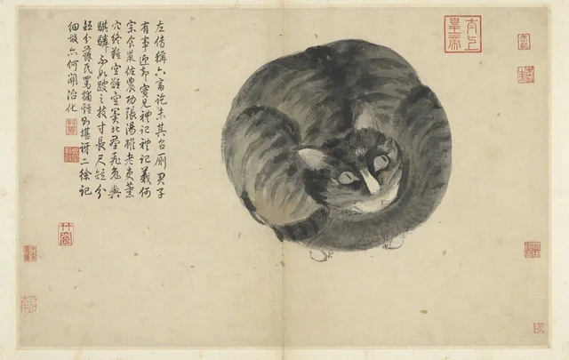 写生冊 猫, 沈周