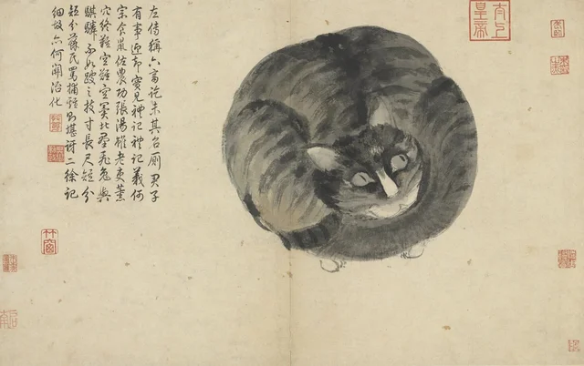 Apuntes del natural: Gato, Shen Zhou