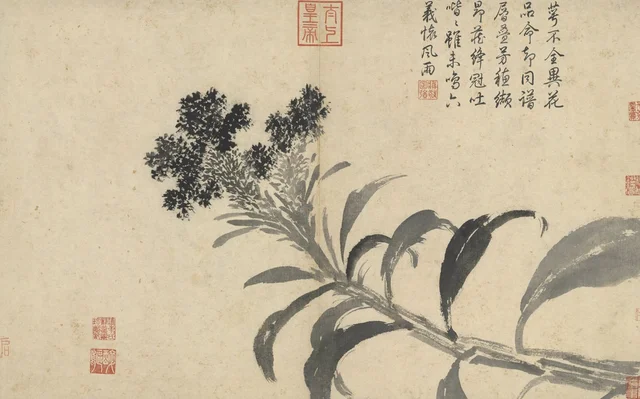 Apuntes del natural: Cresta de gallo, Shen Zhou