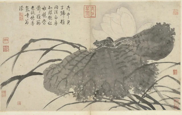 写生冊 荷花与蹲蛙, 沈周