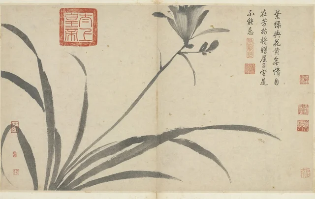 写生冊 萱, 沈周