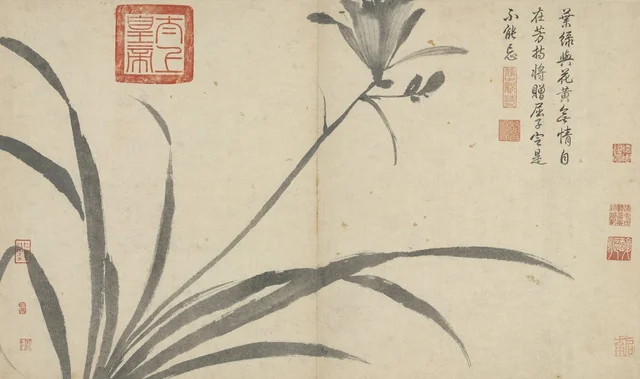 Apuntes del natural: Hemerocallis, Shen Zhou