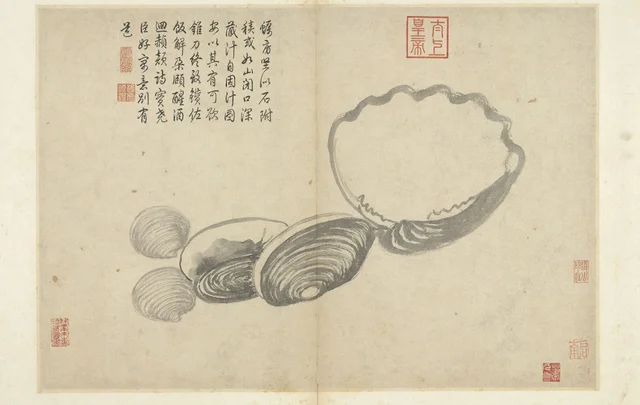 写生冊 蠣房与蛤, 沈周