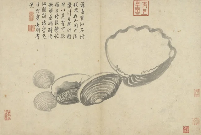 Apuntes del natural: Ostras y almejas, Shen Zhou