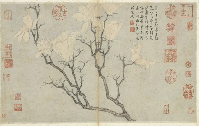 写生冊 玉蘭, 沈周